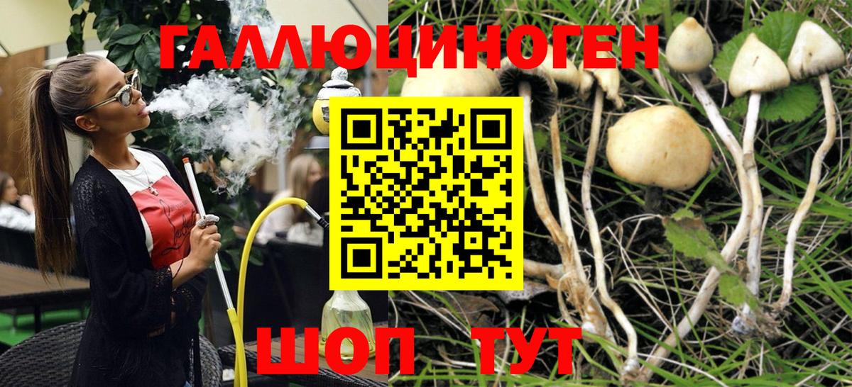 Мценск  Галлюциногенные грибы MAGIC MUSHROOMS  наркотики  Вход с VPN  Галлюциногенные грибы Psilocybine cubensis 